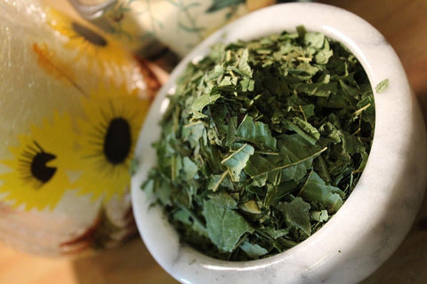Sumac Leaf Herbal Tea - Wild Harvested Fresh Ancient Herb