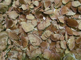Turkey Tail Mushroom Powder - Wild Harvested Turkey Tail Tea