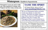 Wintergreen Seeds - Grow Your own Herbs !