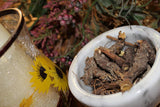 Yellow Dock Seeds - Grow your own Herbs!